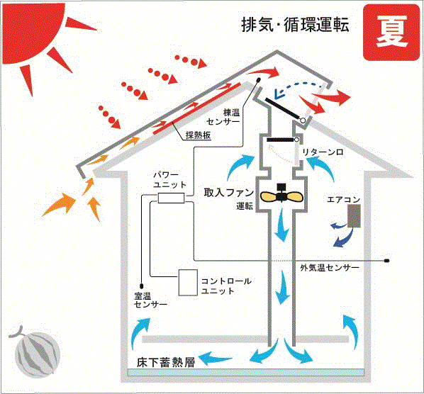 夏の日中