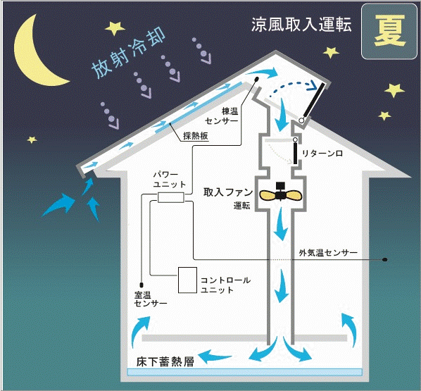 夏の夜