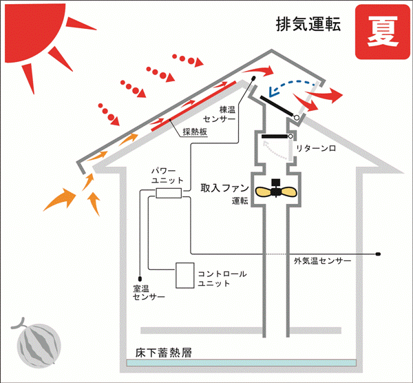 夏の日中